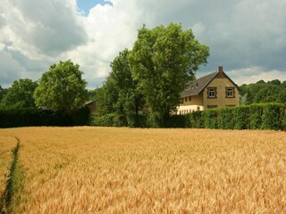 Type de propriété : Ferme Gulpen Enregistrement extérieur 2