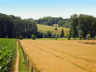 Bauernhof Gulpen Umgebung 23