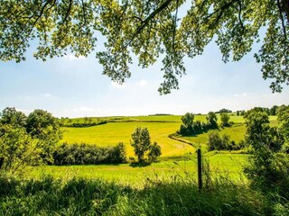 Bauernhof Gulpen Umgebung 24