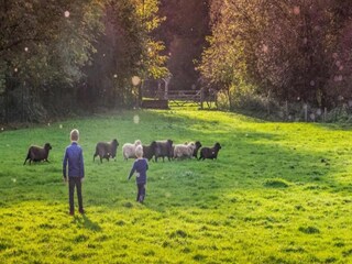 Bauernhof Gulpen Umgebung 25