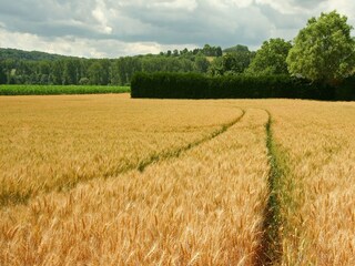 Type de propriété : Ferme Gulpen Environnement 21