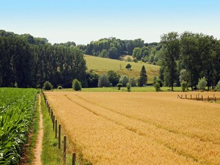Type de propriété : Ferme Gulpen Environnement 28