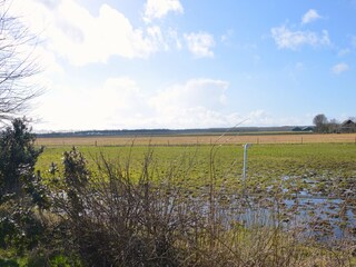 Casa per le vacanze Odoornerveen Registrazione all'aperto 5