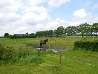 Ferienhaus Odoornerveen Außenaufnahme 3