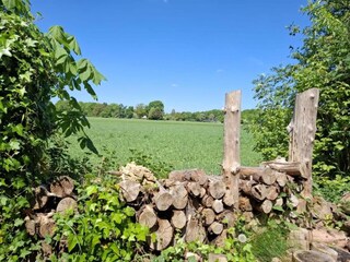 Vakantiehuis Odoornerveen Omgeving 30