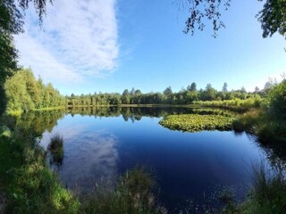 Vakantiehuis Odoornerveen Omgeving 22