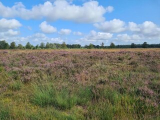 Vakantiehuis Odoornerveen Omgeving 22