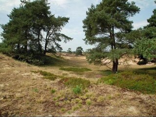 Vakantiehuis Odoornerveen Omgeving 38