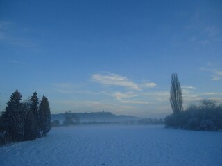 Vakantiehuis Lobith Buitenaudio-opname 6