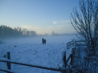 Casa de vacaciones Lobith Grabación al aire libre 2