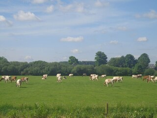 Vakantiehuis Lobith Omgeving 18