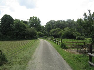 Vakantiehuis Lobith Omgeving 21