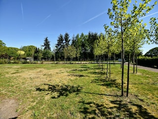 Ferienhaus Leuvenheim Außenaufnahme 11