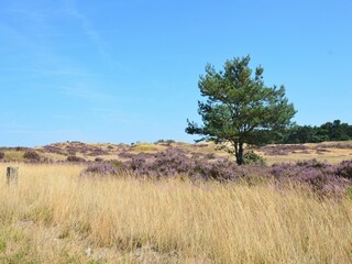 Casa per le vacanze Leuvenheim Ambiente 25