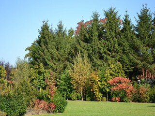 Maison de vacances Leuvenheim Enregistrement extérieur 9