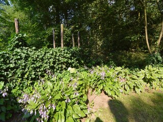 Ferienhaus Zelhem Außenaufnahme 5