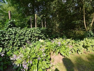 Ferienhaus Zelhem Außenaufnahme 9