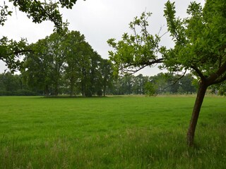 Holiday house Bocholt Outdoor Recording 9