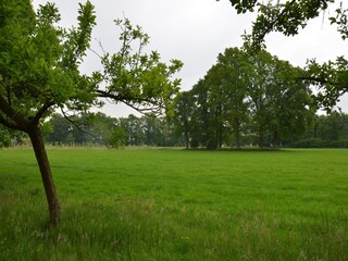 Ferienhaus Bocholt Außenaufnahme 2