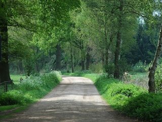 Ferienhaus Bocholt Umgebung 20