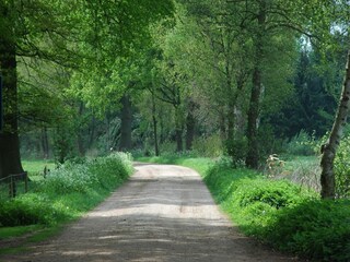 Vakantiehuis Bocholt Omgeving 24