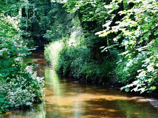 Vakantiehuis Bocholt Omgeving 18