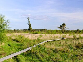 Vakantiehuis Bocholt Omgeving 30