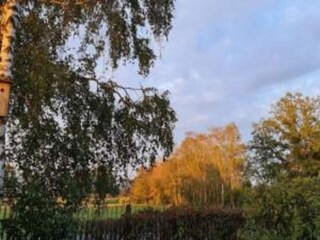 Vakantiehuis Bocholt Omgeving 25
