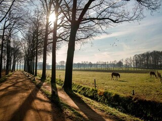 Vakantiehuis Bocholt Omgeving 23