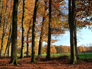 Holiday house Bocholt Environment 28