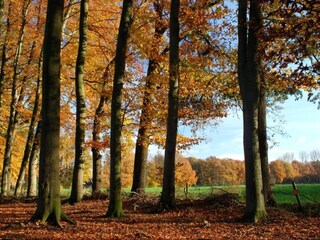 Holiday house Bocholt Environment 29