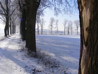 Vakantiehuis Bocholt Omgeving 26