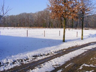 Casa per le vacanze Bocholt Ambiente 30