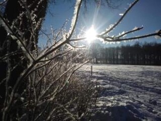 Vakantiehuis Bocholt Omgeving 34