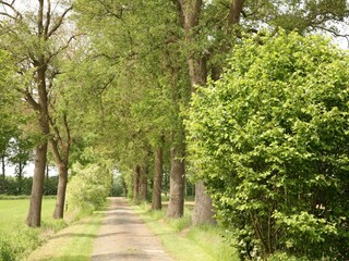 Boerderij Diepenheim Omgeving 27