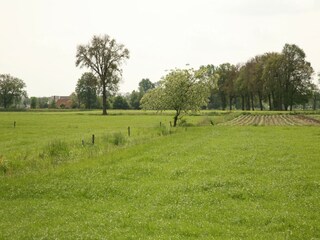 Boerderij Diepenheim Omgeving 25