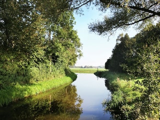Fattoria Diepenheim Ambiente 26