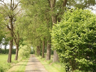 Boerderij Diepenheim Omgeving 27