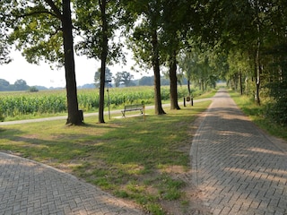 Farmhouse Eibergen Environment 26