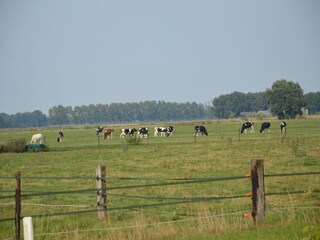 Boerderij Eibergen Buitenaudio-opname 6