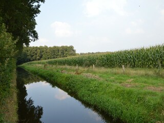 Type de propriété : Ferme Eibergen Environnement 25