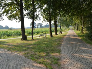 Casa de campo Eibergen Entorno 26