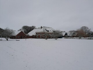 Farmhouse Eibergen Outdoor Recording 12