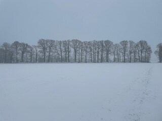 Fattoria Eibergen Ambiente 36