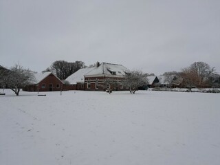 Farmhouse Eibergen Outdoor Recording 12