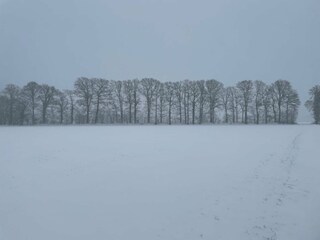 Type de propriété : Ferme Eibergen Environnement 34