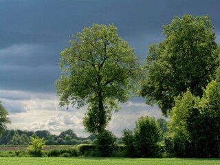 Bauernhof Geesteren Umgebung 34