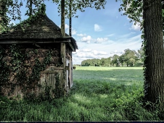 Farmhouse Geesteren Environment 24