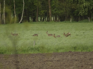 Casa de campo Geesteren Entorno 18