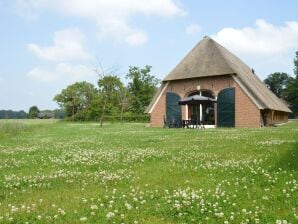 Bauernhof Strohgedeckte Scheune mit schöner Aussicht - Geesteren - image1